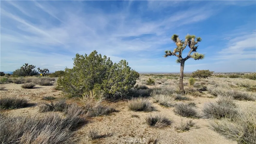0 Antelope Hwy (138) & West Street, Llano, California 93544
