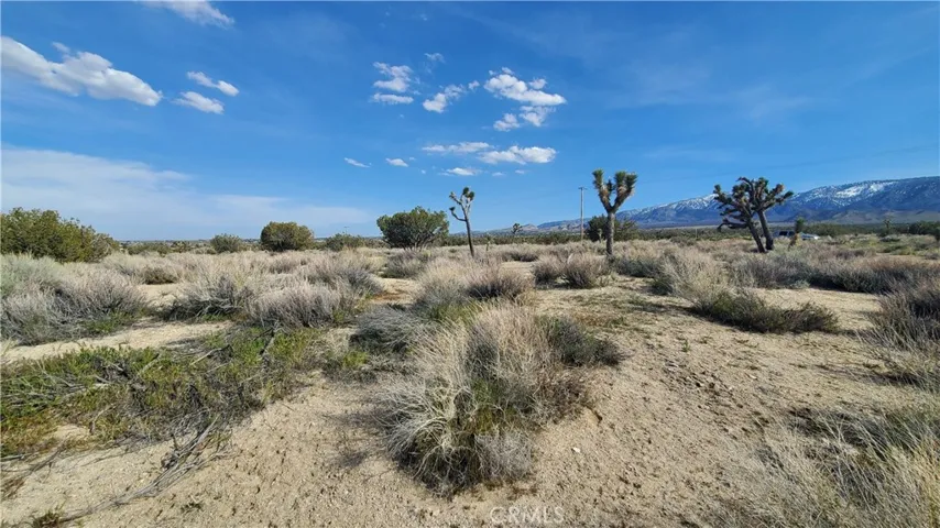 0 Antelope Hwy (138) & West Street, Llano, California 93544