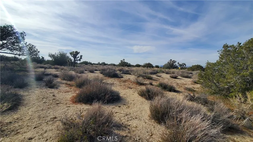0 Antelope Hwy (138) & West Street, Llano, California 93544