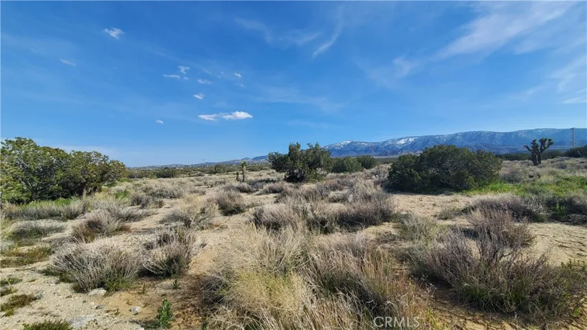 0 Antelope Hwy (138) & West Street, Llano, California 93544