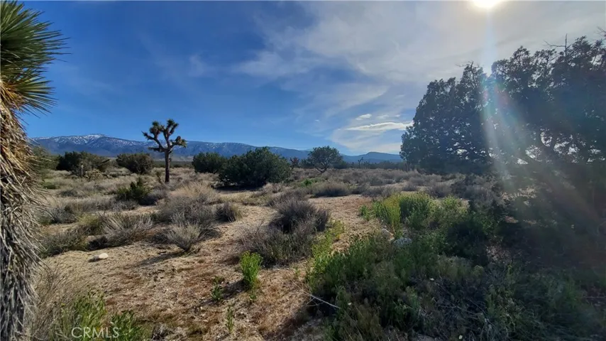 0 Antelope Hwy (138) & West Street, Llano, California 93544