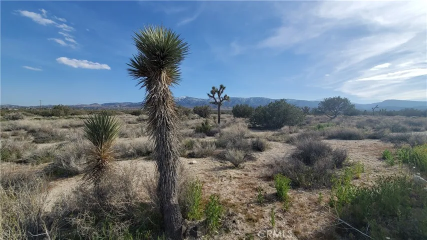 0 Antelope Hwy (138) & West Street, Llano, California 93544