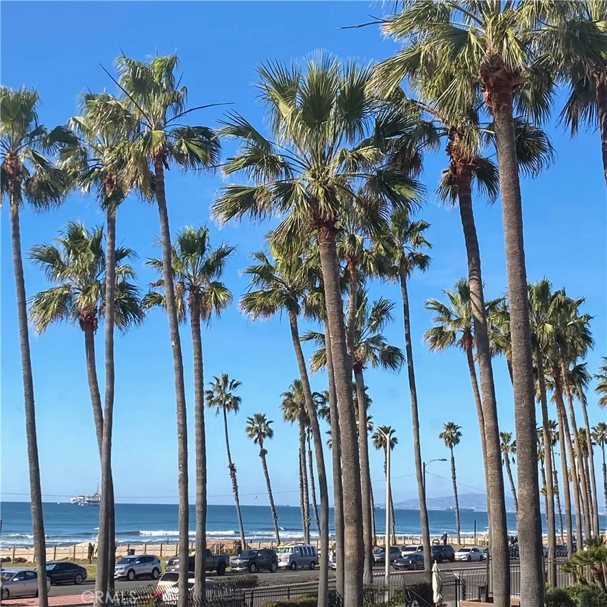 816 11th, Huntington Beach, California 92648 home-pic-38