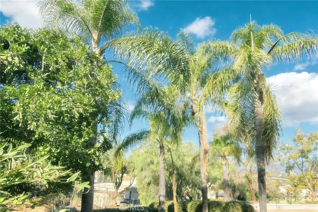 13150 Pinnacle Court, Chino Hills, California 91709 home-pic-18