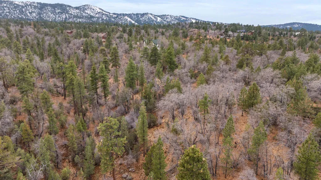 13-DJI_20251226050850_0984_D