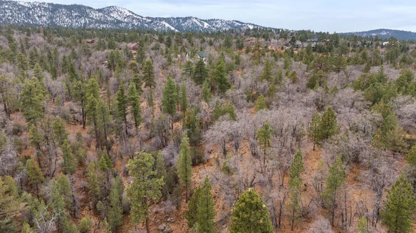 13-DJI_20251226050850_0984_D