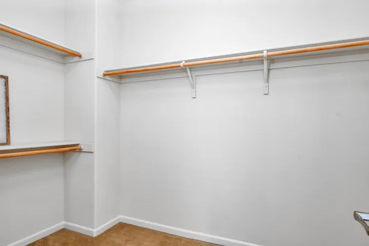 Walk in closet featuring carpet floors