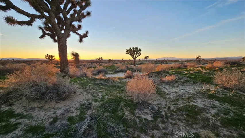 49019 120th Street E, Lancaster, California 93535