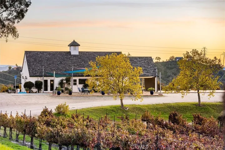 Tasting Room