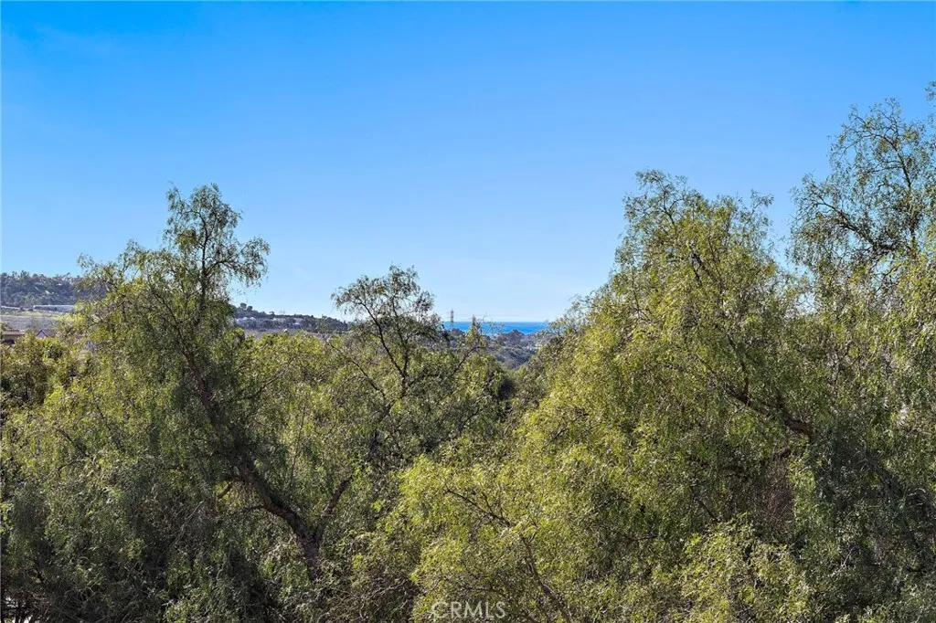 20 Via Paquete, San Clemente, California 92673 home-pic-35
