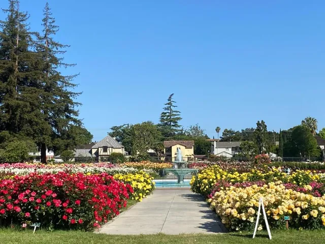88 Bush Street 2171, San Jose, California 95126