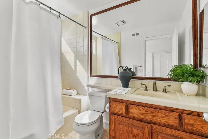 Bath adjacent to the ensuite downstairs bedroom.