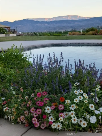 Flowers in the Spring around Pool