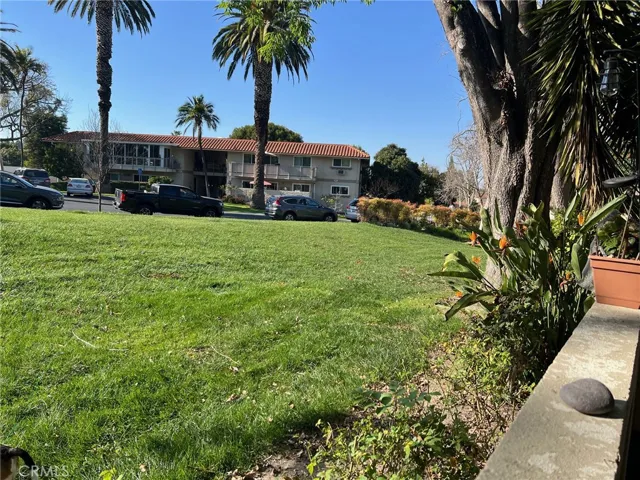 View from patio