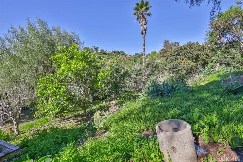 1707 Nabal, La Habra Heights, California 90631 home-pic-58
