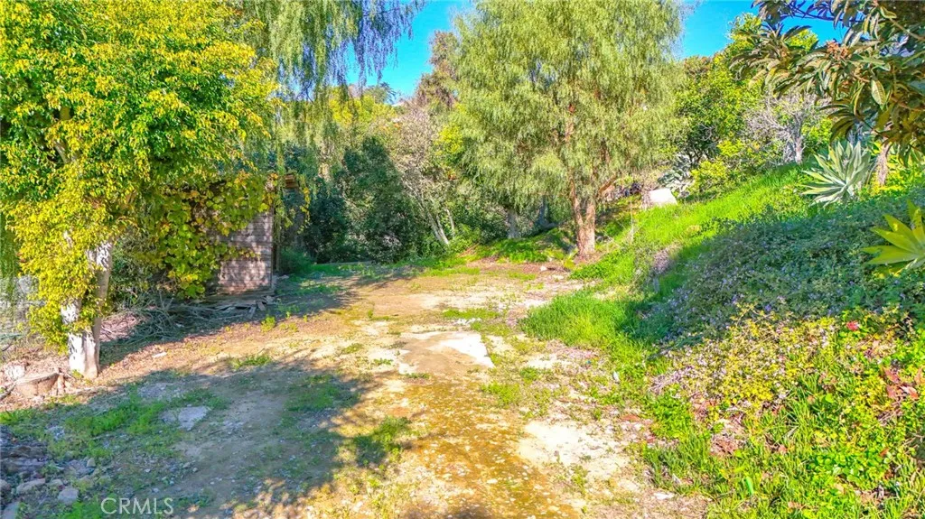 1707 Nabal, La Habra Heights, California 90631 home-pic-54