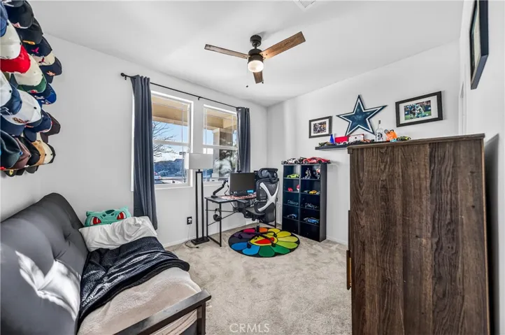 Downstairs Bedroom