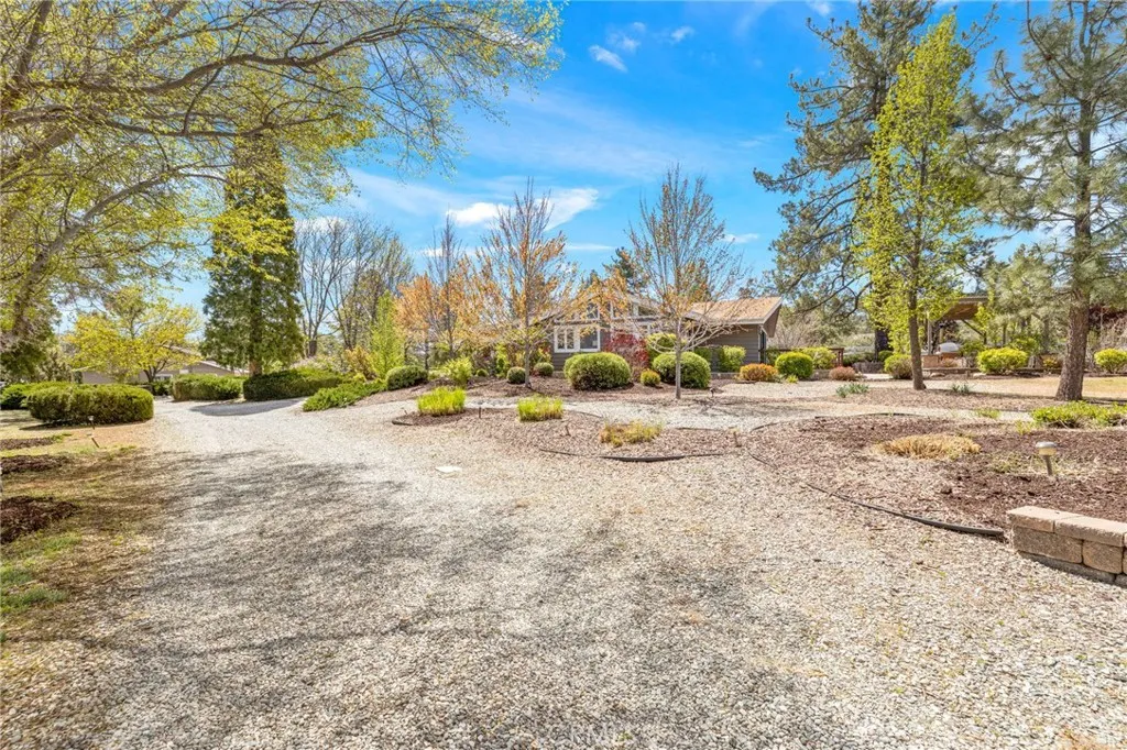 60206 Devils Ladder, Mountain Center, California 92561 home-pic-3