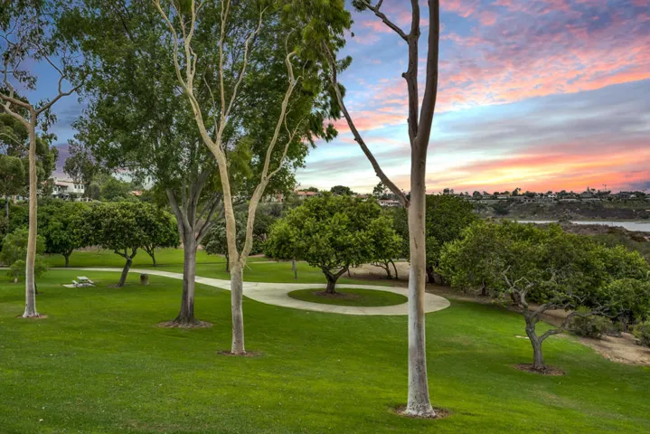 Park Views