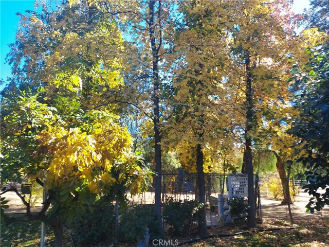 48208 Tanglewood Court, Aguanga, California 92536