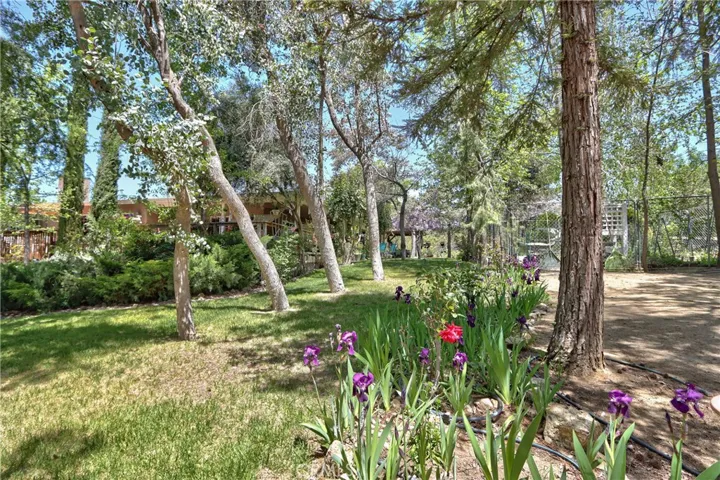 48208 Tanglewood Court, Aguanga, California 92536