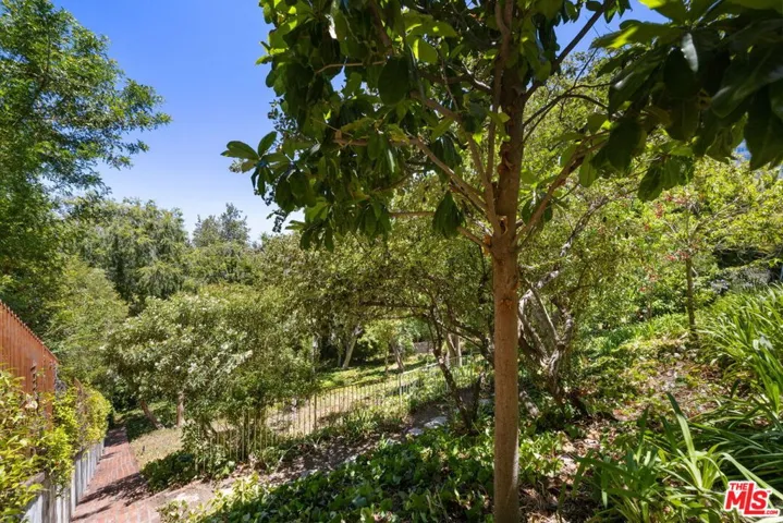 Almost Half An Acre Of Land!