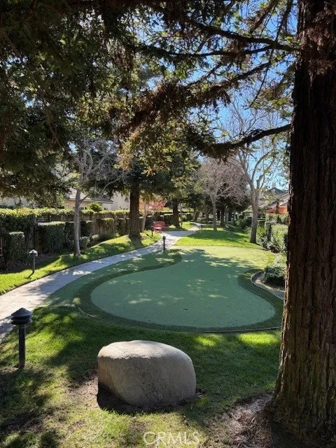 Putting green in common area.