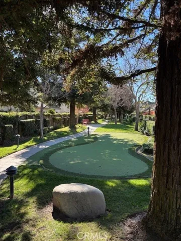 Putting green in common area.