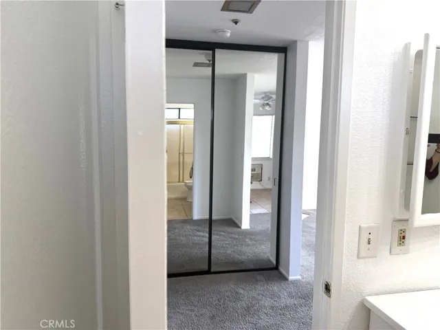 Mirrored Closet doors in the hallway