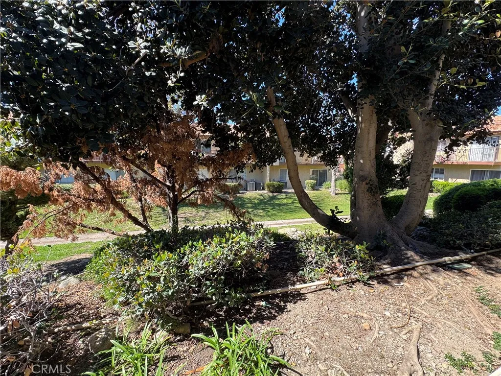 1365 Crafton 1089, Mentone, California 92359 home-pic-8