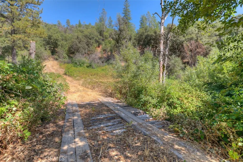 Access Bridge