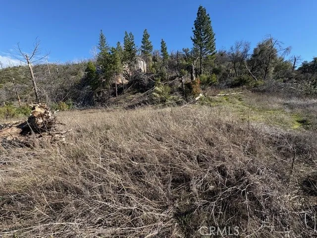 Potential Home Site with Lake Views