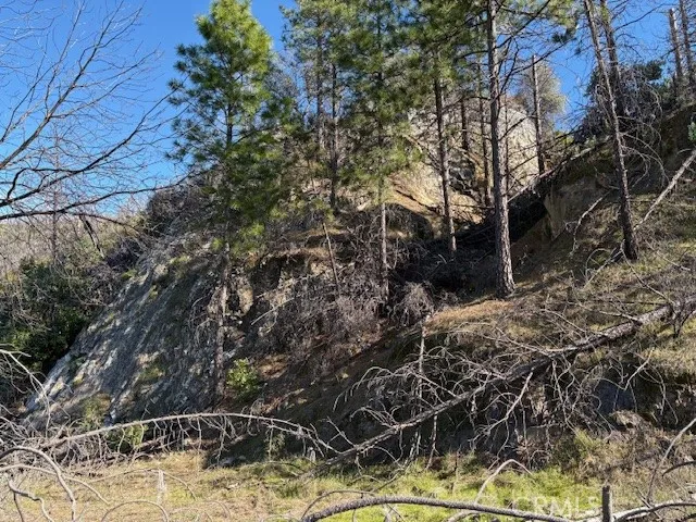 75 Foot Quartz Boulder located behind Potential Home Site Area