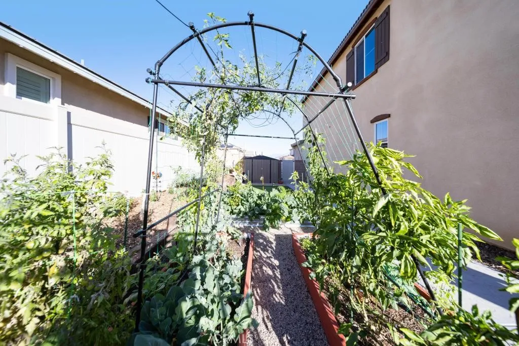 31723 Constellation, Menifee, California 92586 home-pic-50