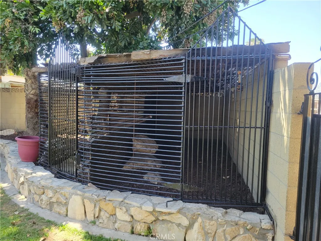 Prior home of famous racoon seen on TV