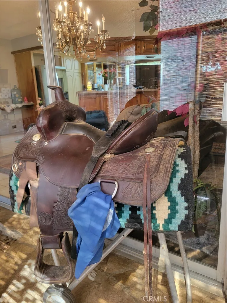 Space to display your best saddles