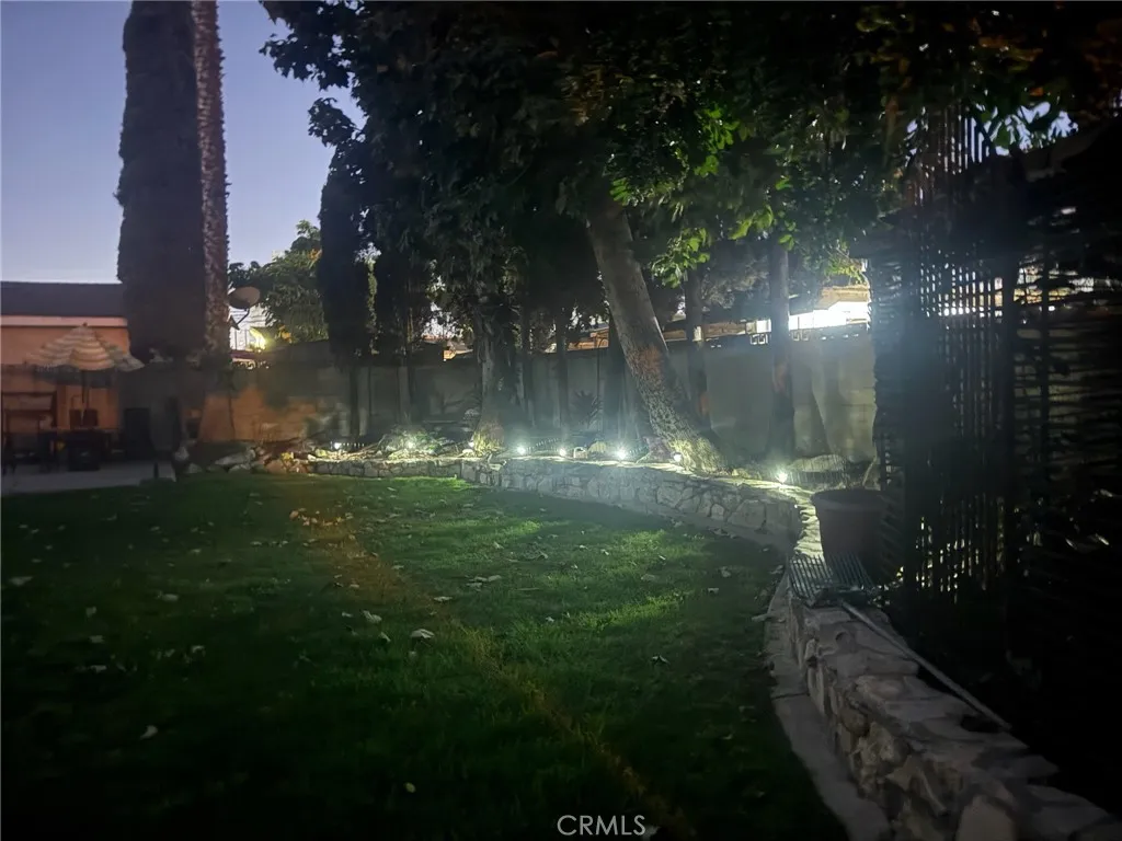 Evening in the private fenced backyard