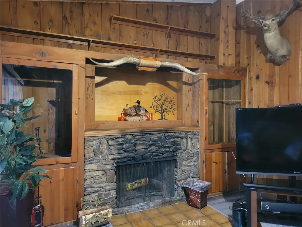 Den fireplace & custom woodwork