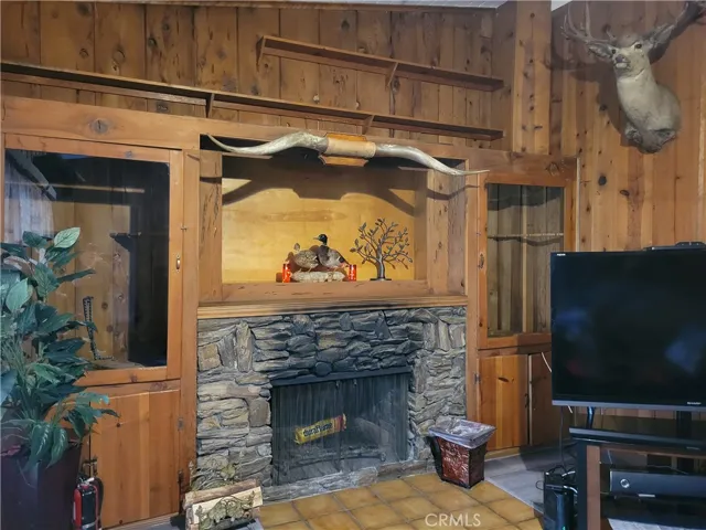 Den fireplace & custom woodwork