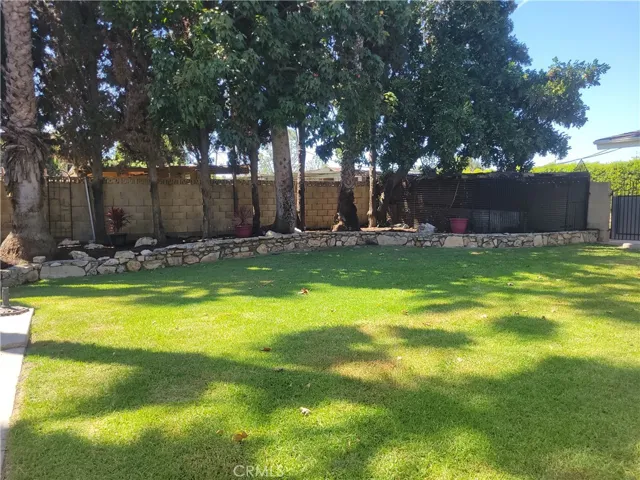 Fenced & landscaped backyard, huge lawn