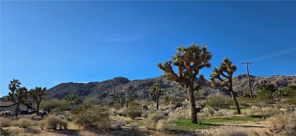 Back Yard View