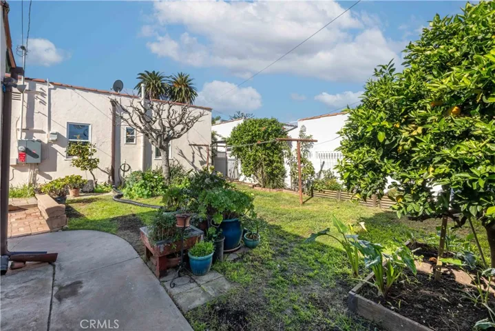 fruit tree and garden bed
