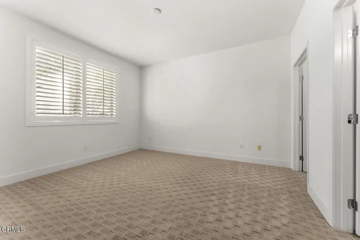 005_TPP_CamillePaton_17Delancy