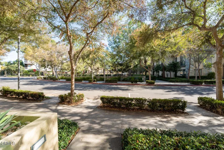 003_TPP_CamillePaton_17Delancy