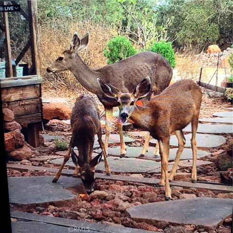 Visitors  at the property