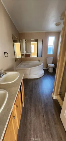 Master bath walk-in shower & soaking tub