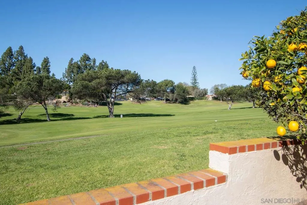 17620 Caminito Chiclayo, San Diego, California 92128 home-pic-37