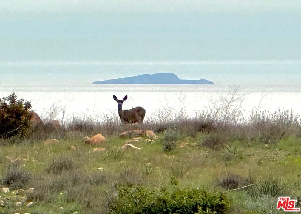 9785 Deer Creek Road, Malibu, California 90265 home-pic-66