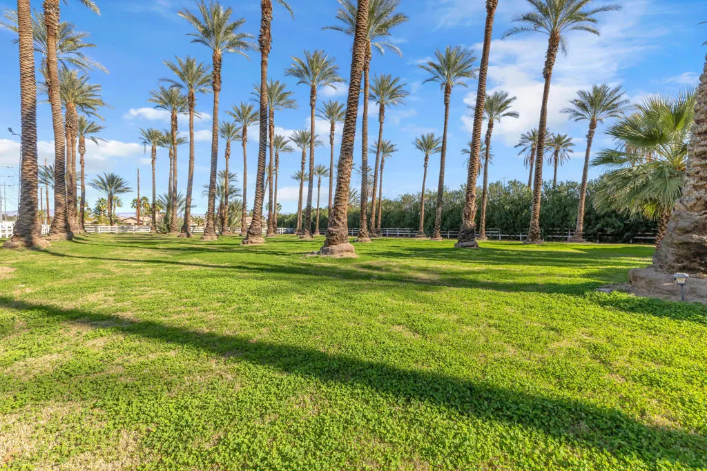 58200 Almonte Drive, La Quinta, California 92253 home-pic-34