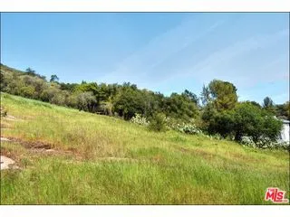 919 Fernwood, Topanga, California 90290 — photo 5